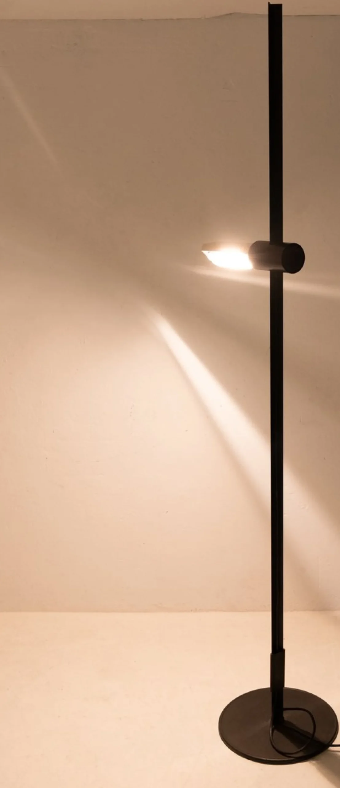 Verstellbare Modell Caltha Stehlampe von Gianfranco Frattini für Luci, 1982