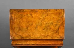 Viktorianisches Davenport aus Wurzelholz, 1860er