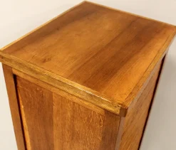 Vintage Aktenschrank aus Eiche, 1920er