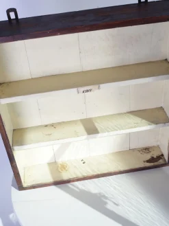 Vintage Apothekenschrank, 1960er