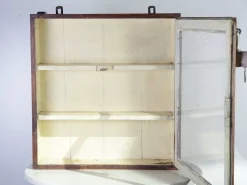 Vintage Apothekenschrank, 1960er