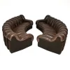 Vintage DS-600 Snake Ledersofas von de Sede, 1970, 2er Set