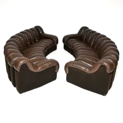 Vintage DS-600 Snake Ledersofas von de Sede, 1970, 2er Set