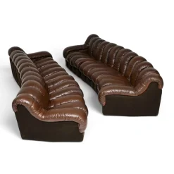 Vintage DS-600 Snake Ledersofas von de Sede, 1970, 2er Set