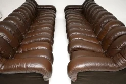 Vintage DS-600 Snake Ledersofas von de Sede, 1970, 2er Set