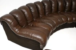 Vintage DS-600 Snake Ledersofas von de Sede, 1970, 2er Set