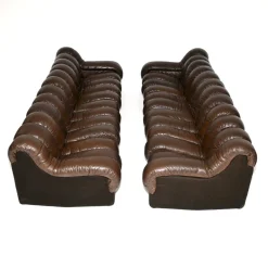 Vintage DS-600 Snake Ledersofas von de Sede, 1970, 2er Set