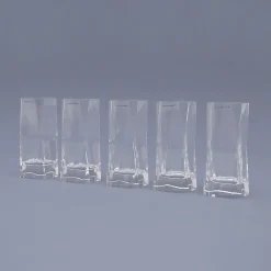 Vintage Gläser von Cini Boeri für Arnolfo Di Cambio, 1970er, 5er Set