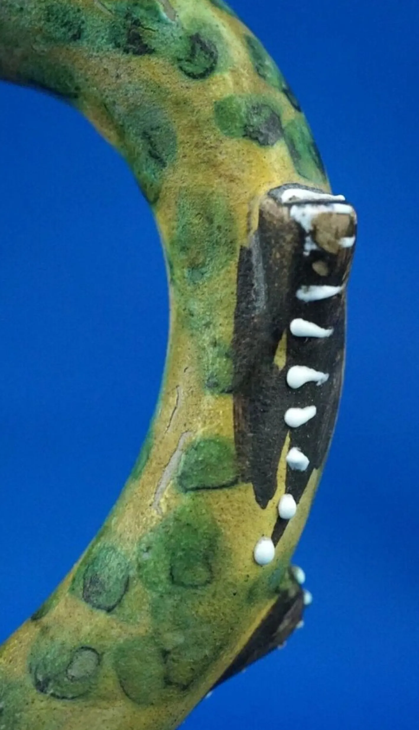Vintage Keramikkaraffe von the Maiolica Artigiana Umbra Factory, 1950er