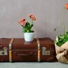Vintage Reisekoffer aus Hartpappe mit Holzgriffen, 1940er