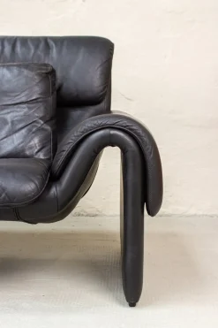 Vintage 2011 Sofa Zwei-Sitzer Ledersofa von de Sede, 1983