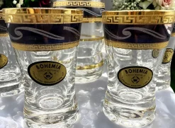 Vintage Wodka Set mit Karaffe und Sechs Verzierten Gläsern, 8 . Set