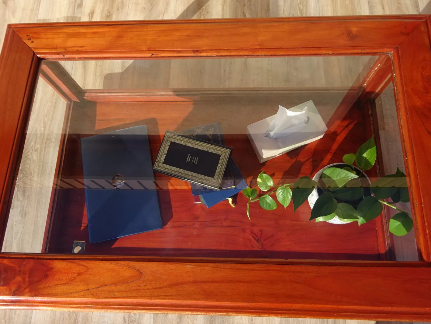 Vitrine mit exotischer Holzstruktur