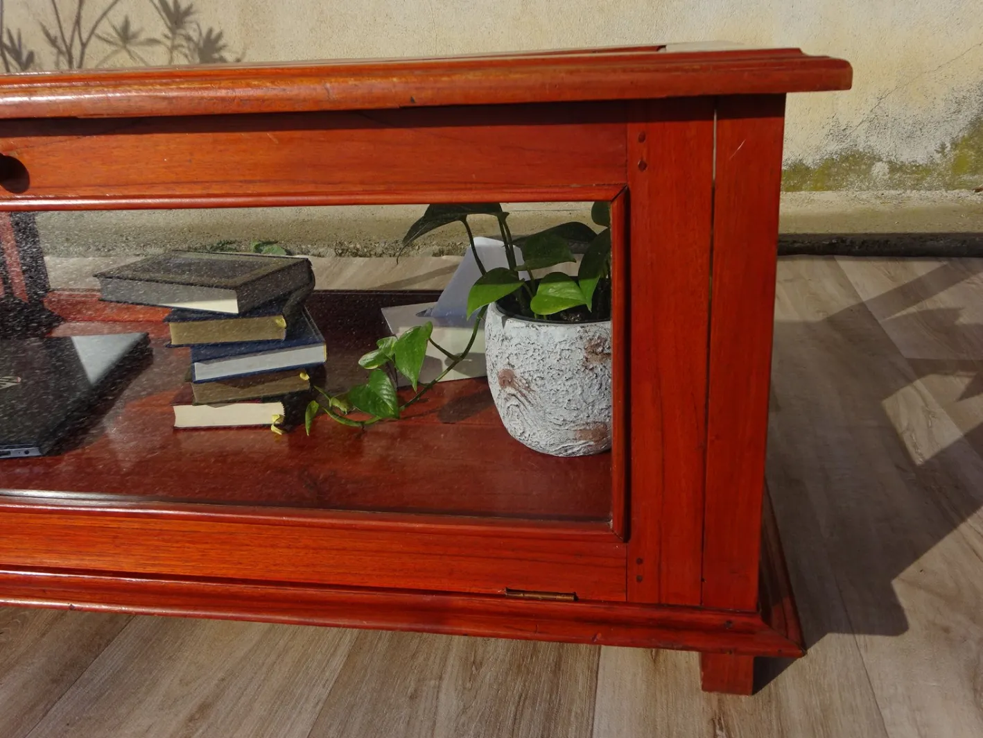 Vitrine mit exotischer Holzstruktur