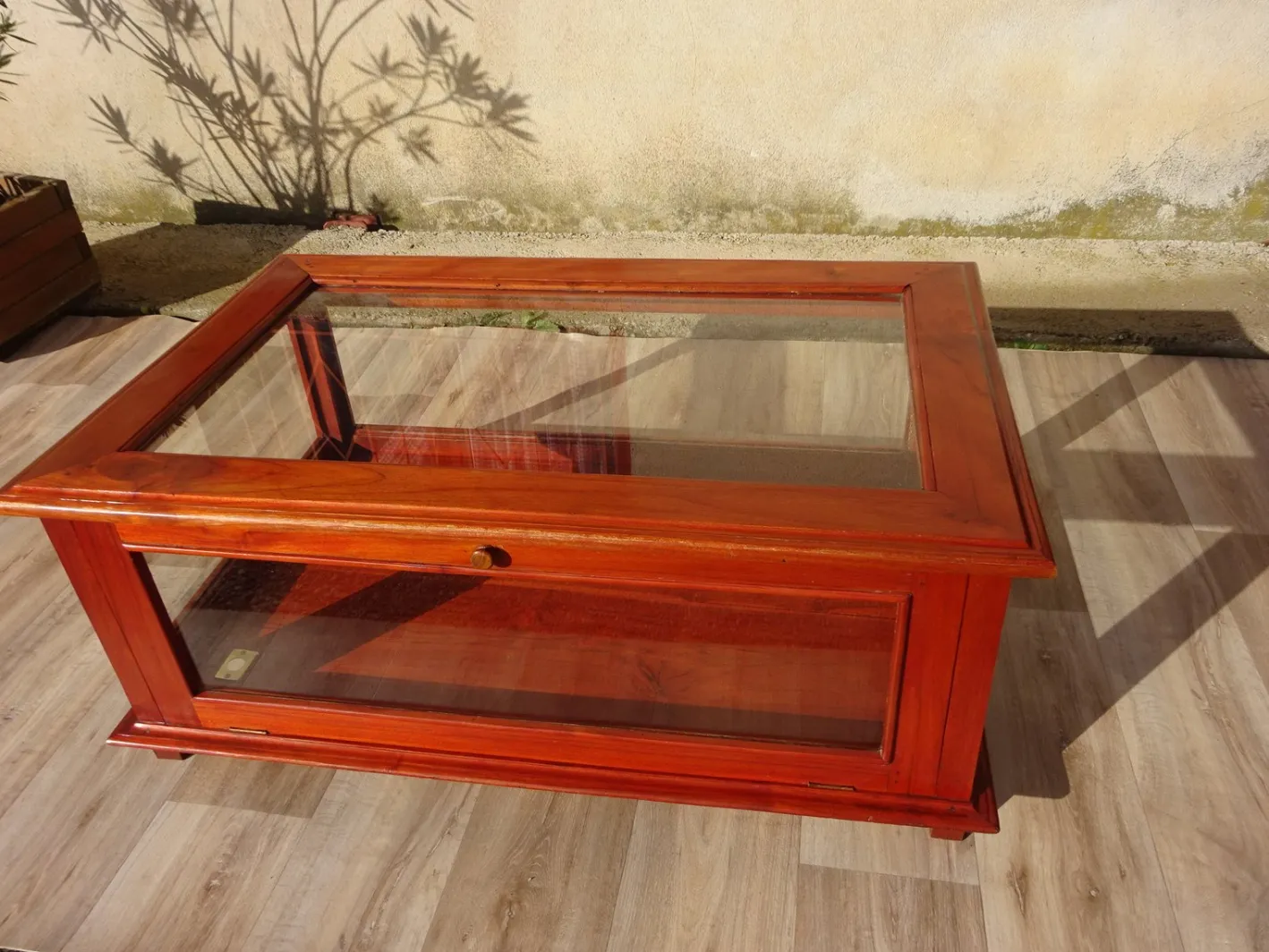 Vitrine mit exotischer Holzstruktur