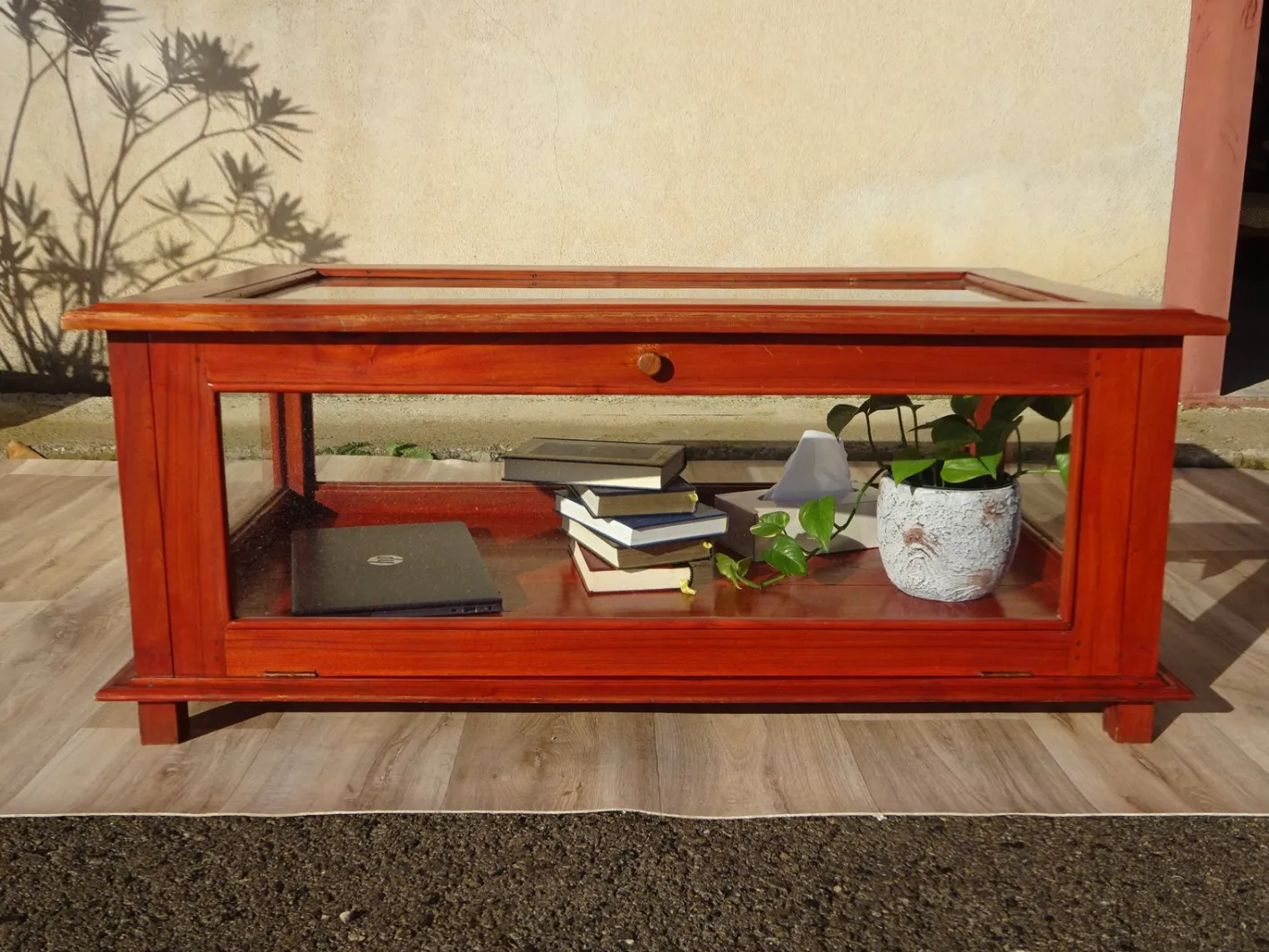 Vitrine mit exotischer Holzstruktur
