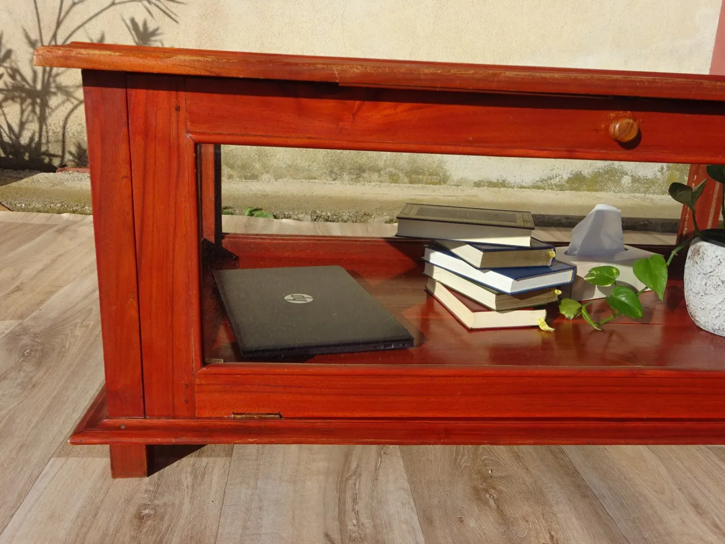 Vitrine mit exotischer Holzstruktur