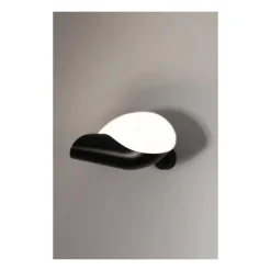Wandleuchte Conche von Serge Mouille
