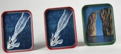 Werbetabletts aus Metall, Italien, 1960er, 4er Set
