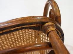 Wiener Secessionist Sitzgruppe aus Bugholz und Rattan von Thonet