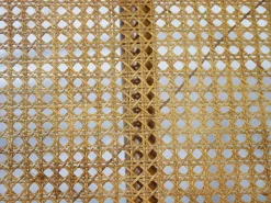 Wiener Secessionist Sitzgruppe aus Bugholz und Rattan von Thonet