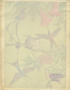 William Neave Parker, Kolibris Illustration, 1950er, Gouache