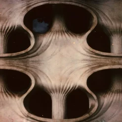Window - Polaroid Color Photography of Window in London, Limitierte Auflage von 20 2023