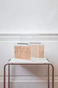 Zeitschriftenständer aus Acrylglas & Caning, 1970er